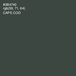 #3B4740 - Cape Cod Color Image